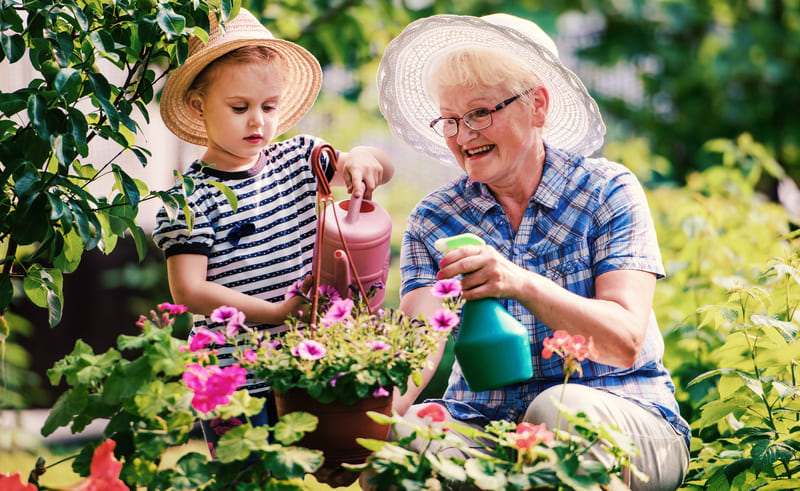 Gardening is a long-honoured therapy for those living with Alzheimer’s and dementia.