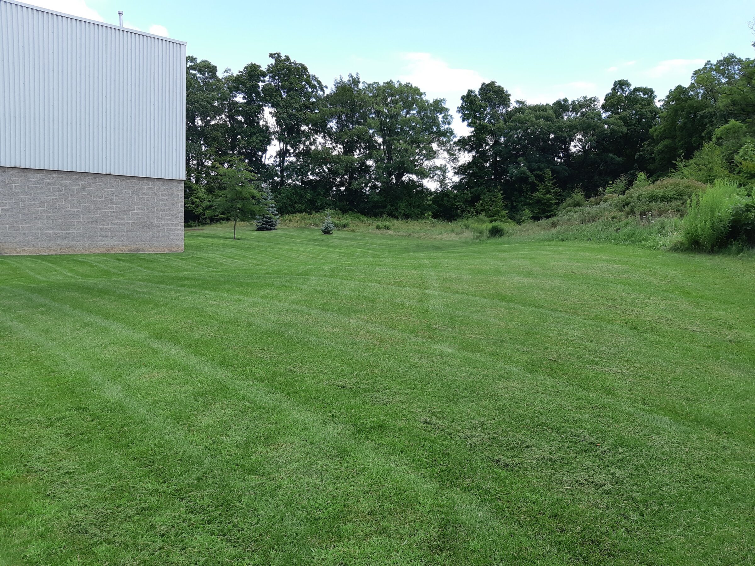 A large expanse of neatly mowed grass beside a building, bordered by trees and bushes under a clear blue sky.