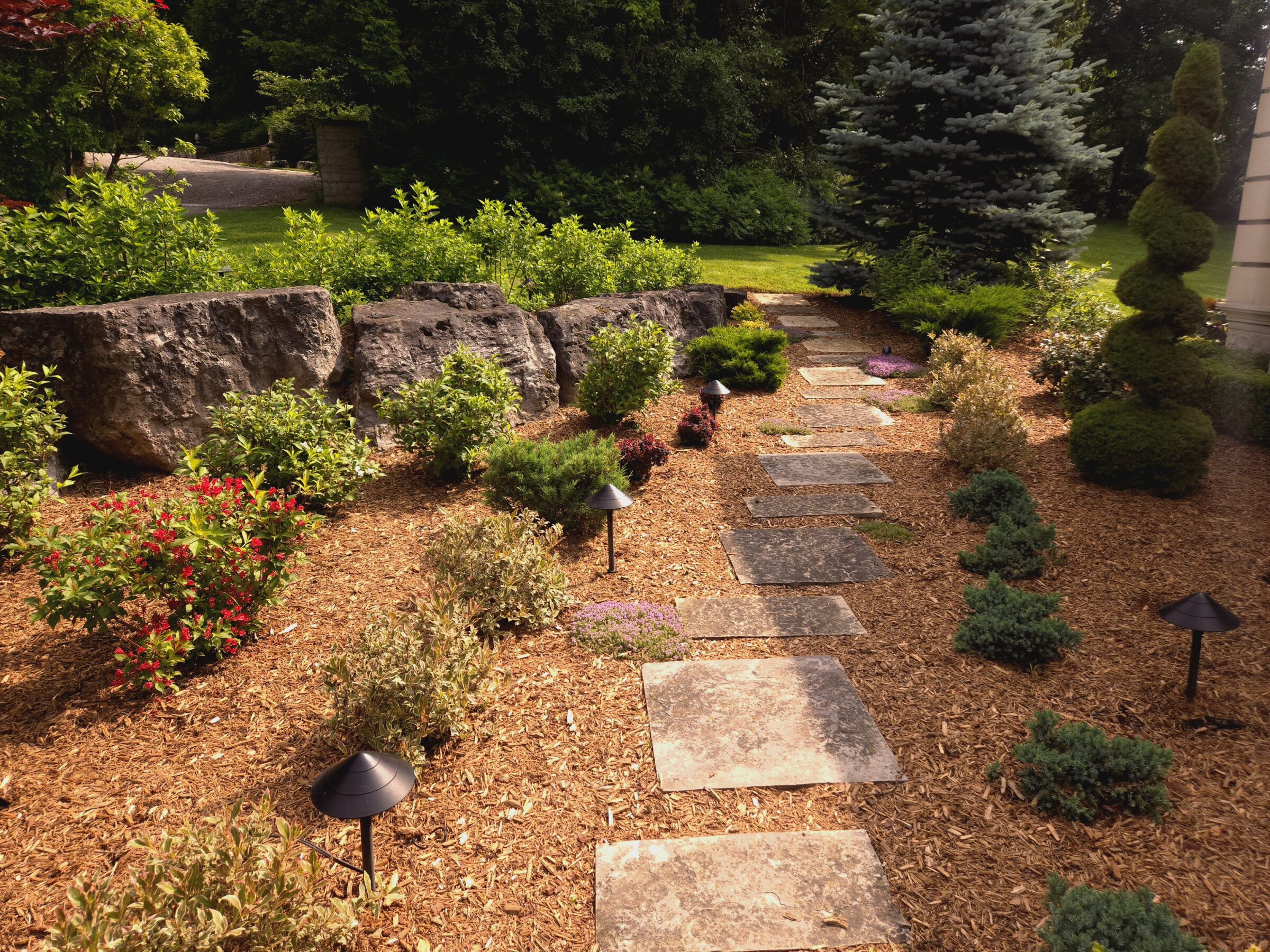 A serene garden path with stone steps, bordered by vibrant shrubs and trees, leads to a lush, green lawn under a sunny sky.