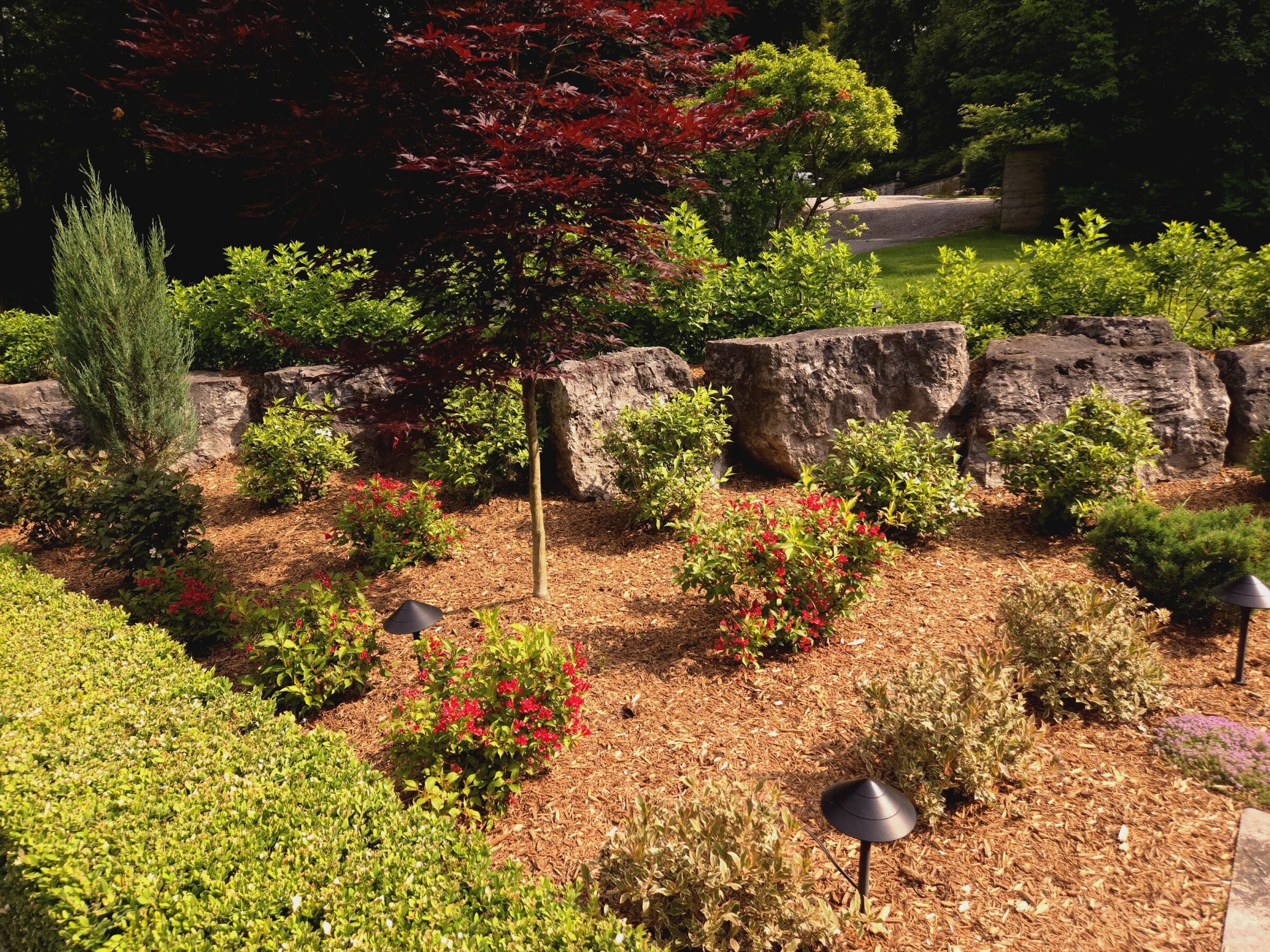 A lush garden features vibrant red shrubs, rocky backdrop, neat hedges, and strategically placed pathway lights. The scene exudes serenity and natural beauty.