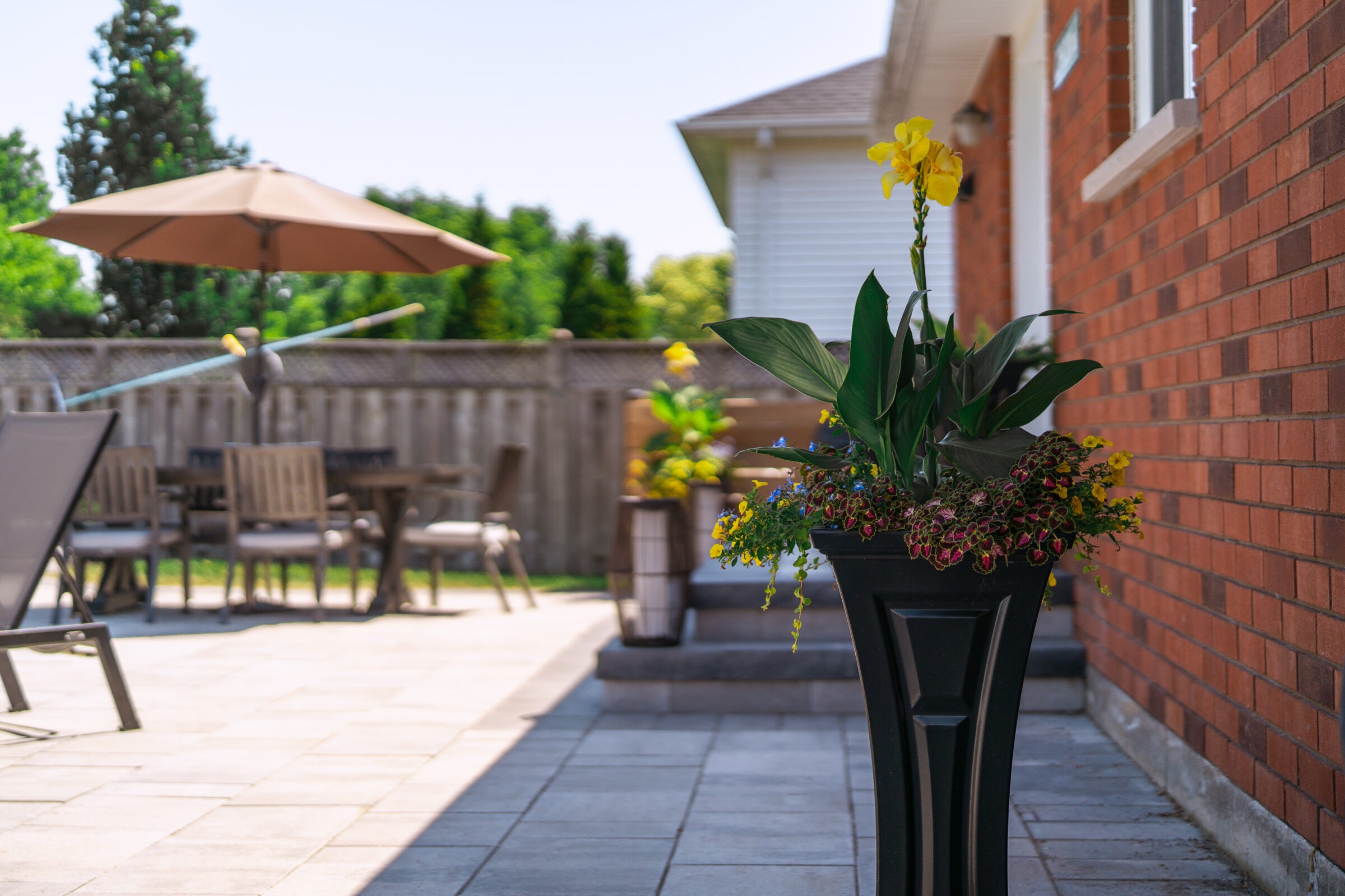 A sunny patio with a flower pot and outdoor furniture, featuring an umbrella and fence in a suburban backyard setting.