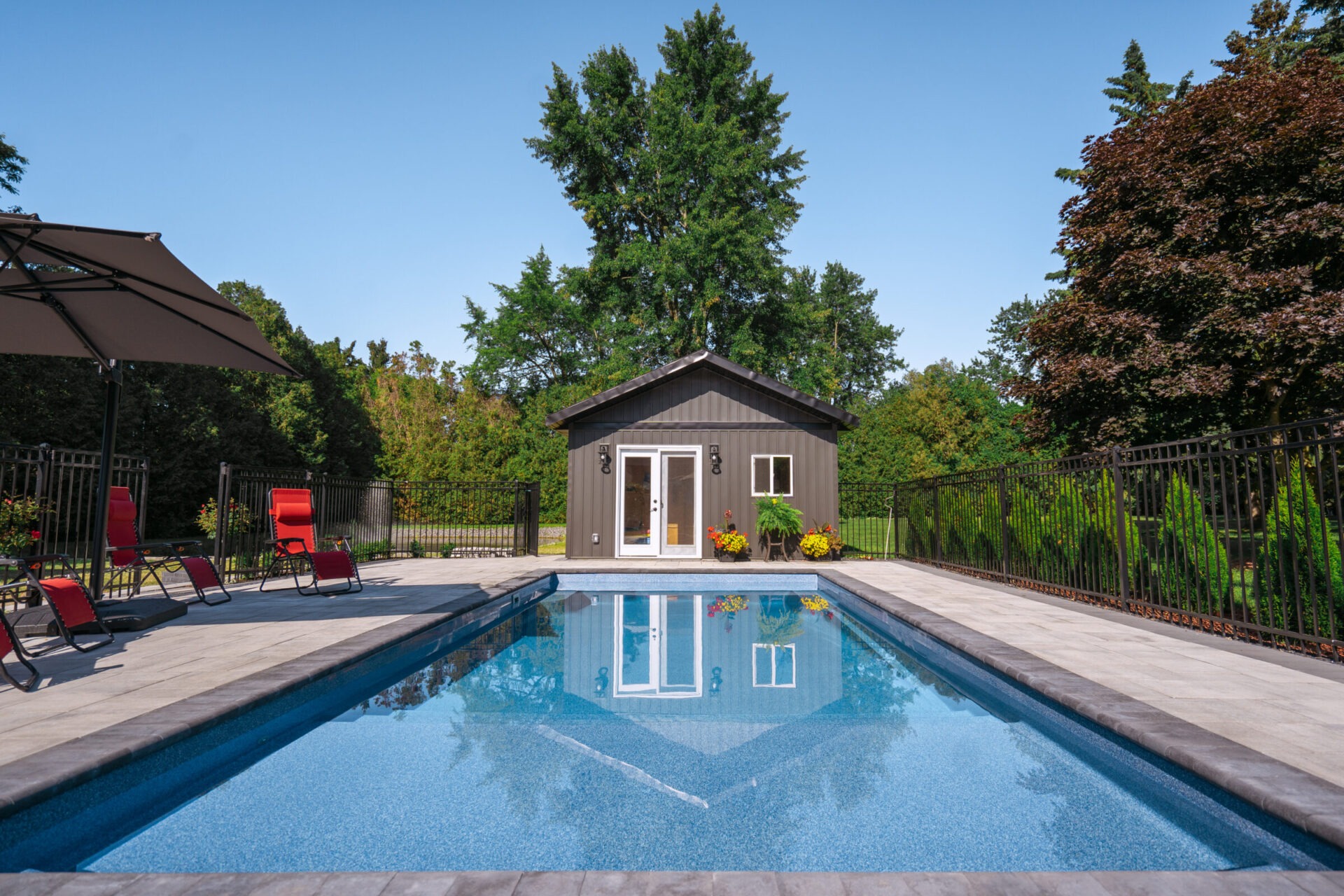 A modern backyard pool with red lounge chairs, surrounded by a fence, trees, and a small pool house in the background.