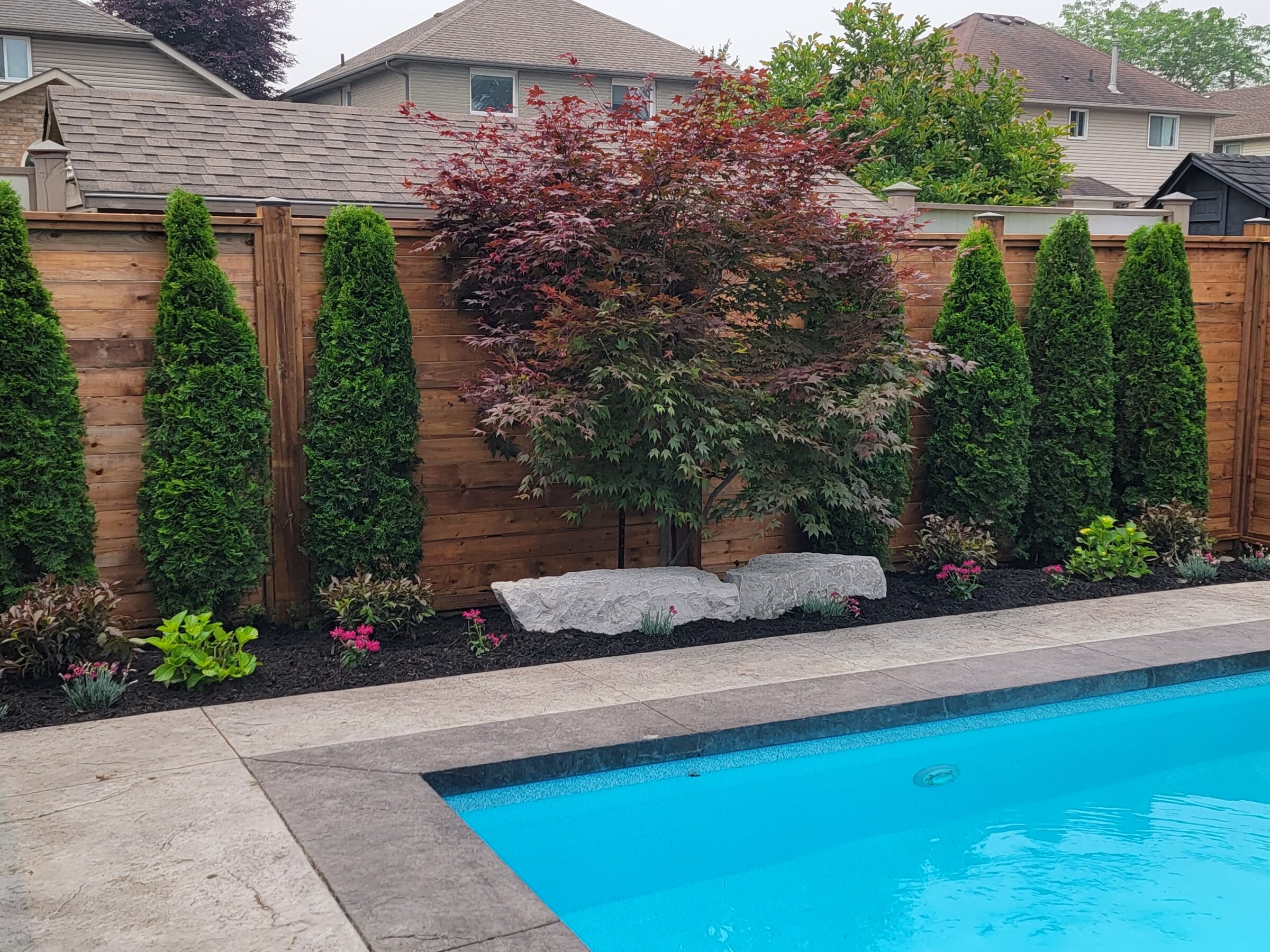 A backyard pool scene with a neatly landscaped garden, featuring green shrubs, a maple tree, and adjacent residential houses.