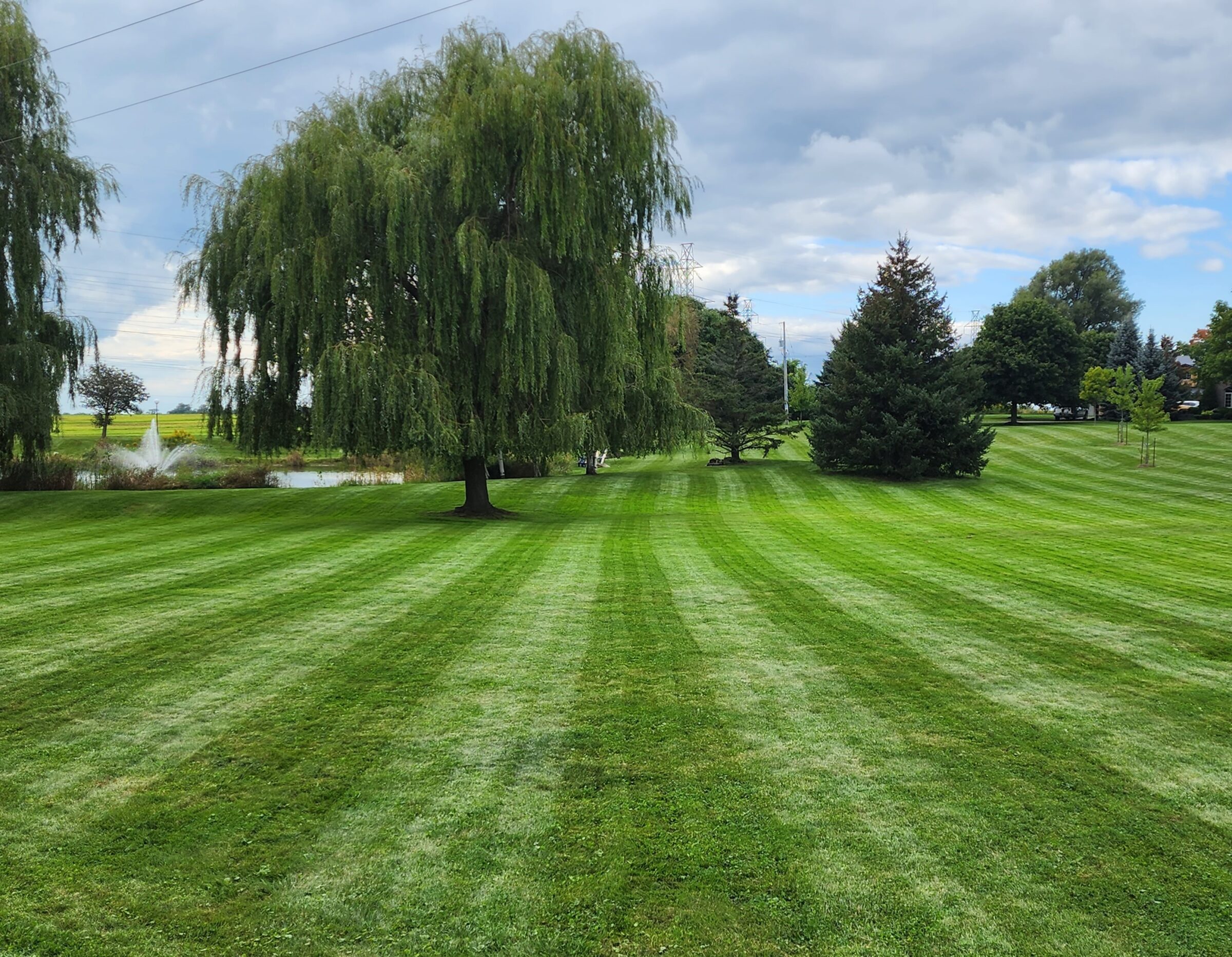 A landscaped park features striped grass, willow trees, and a distant pond with a fountain under a cloudy sky.