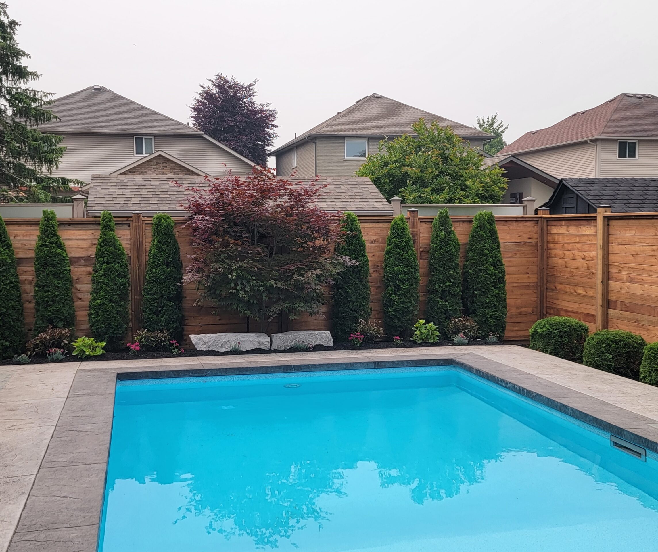 A backyard features a rectangular pool, surrounded by a wooden fence, trees, and trimmed bushes, with houses visible in the background.