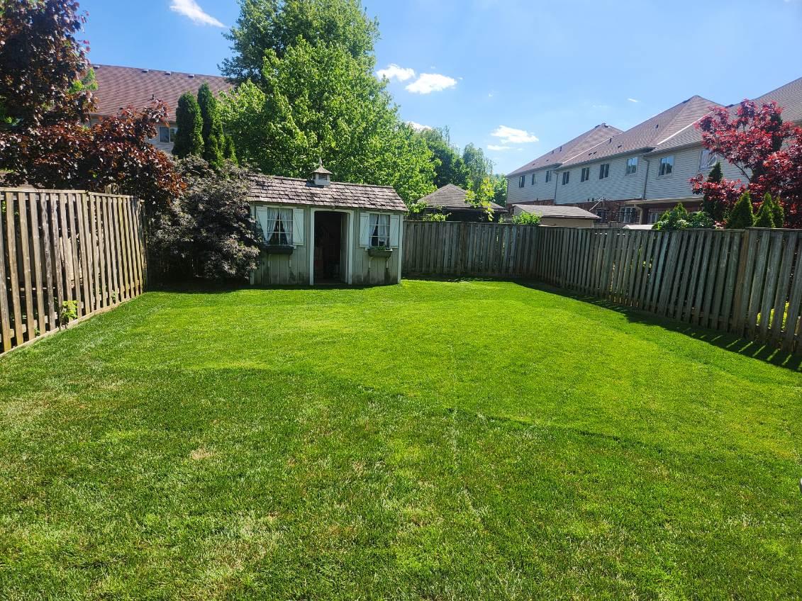 Large backyard lawn with garden shed